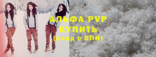 индика Абинск