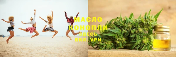 тгк Абаза