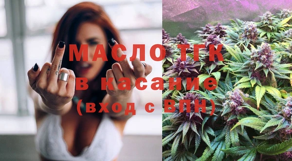 индика Абинск