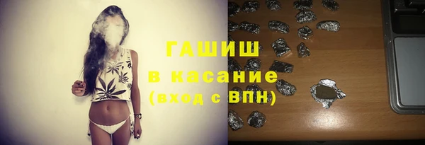 индика Абинск