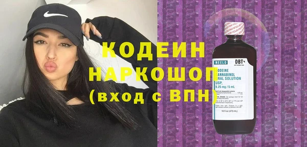 индика Абинск