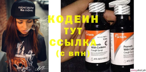 индика Абинск