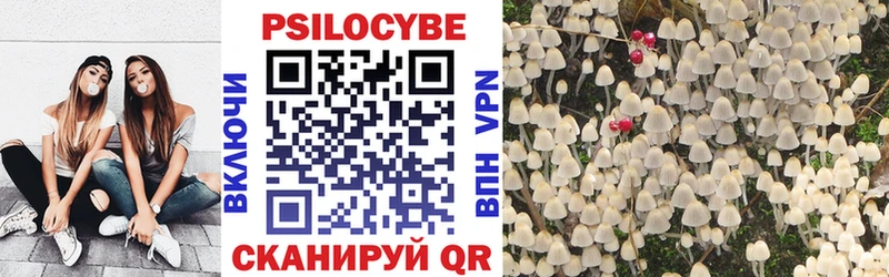 KRAKEN вход  Фурманов  Галлюциногенные грибы мицелий 